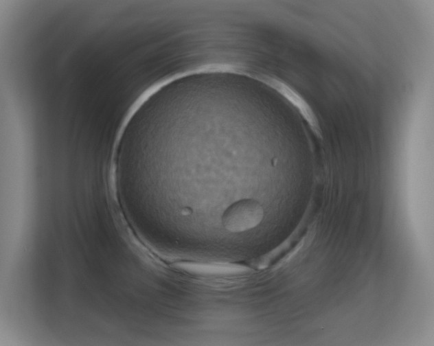 X0000113181340200909111047