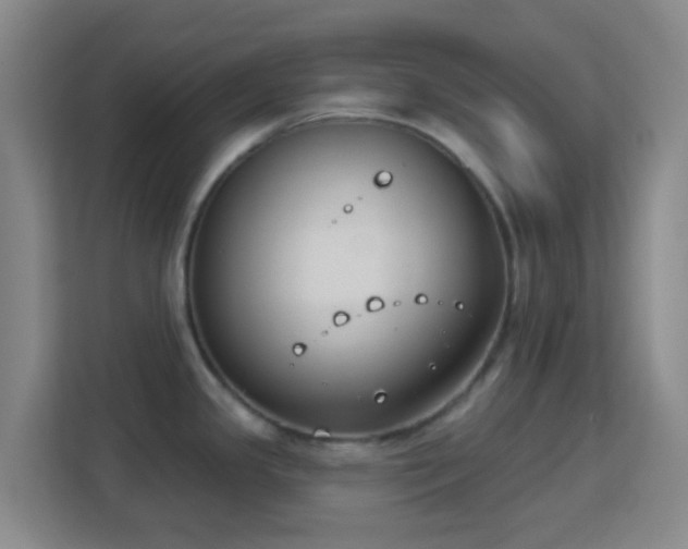 X0000113181341200909111047