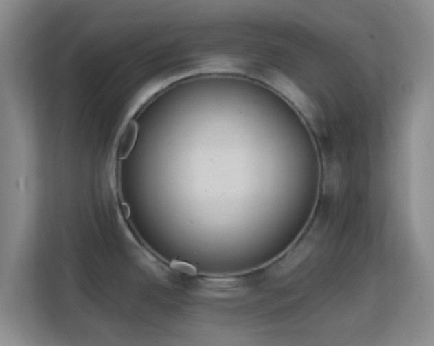 X0000113181342200909111047