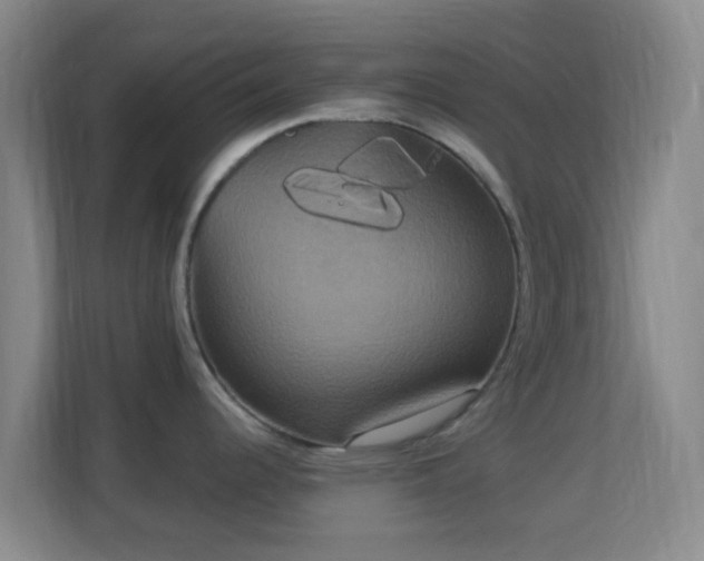 X0000113181344200909111047