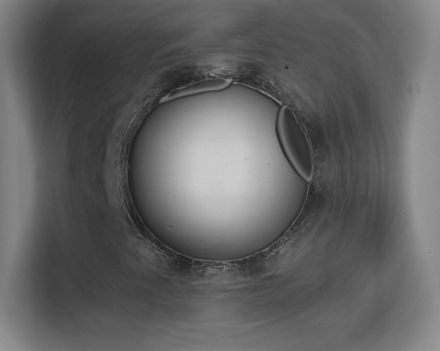 X0000113181345200909111046