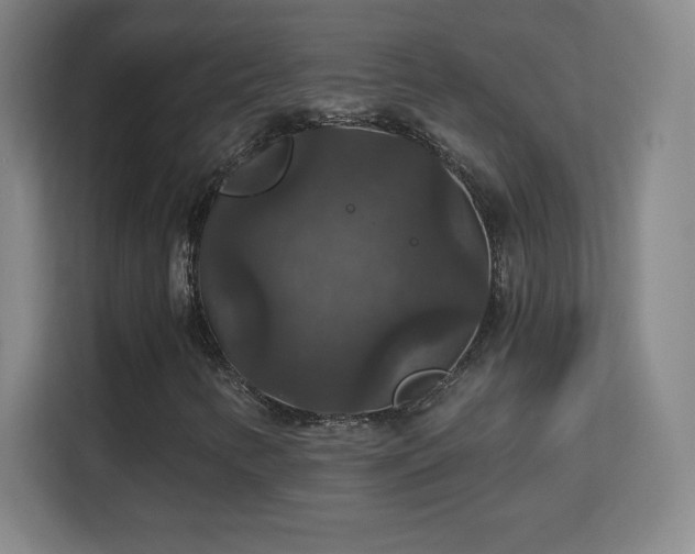 X0000113181346200909111046
