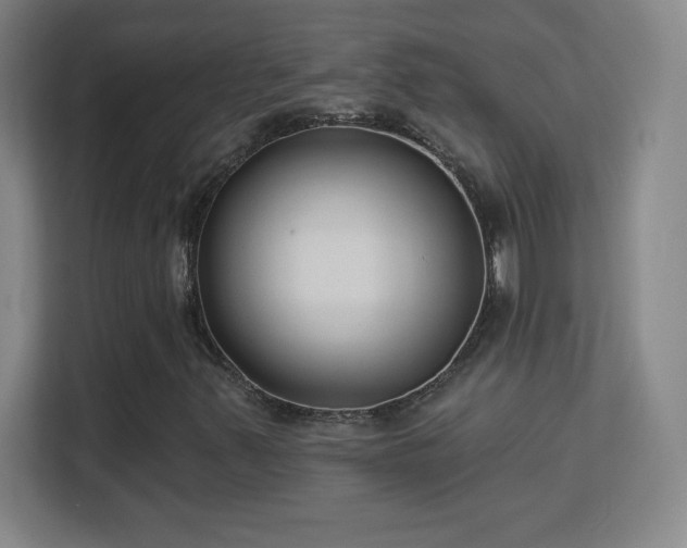 X0000113181347200909111046