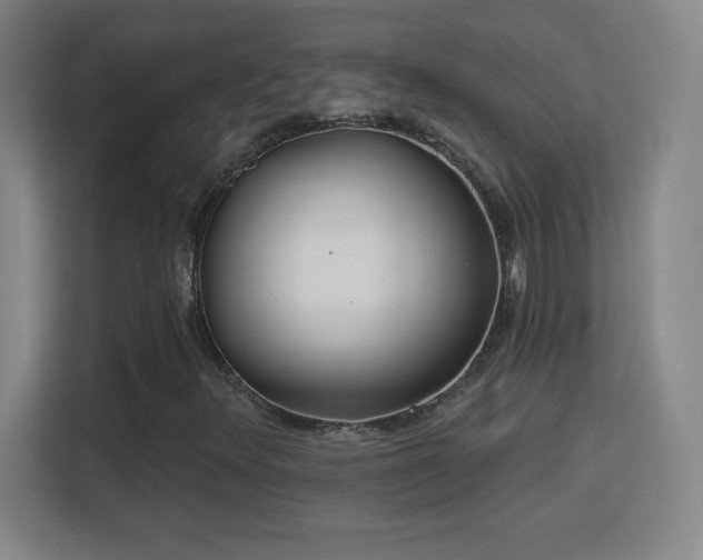 X0000113181348200909111046