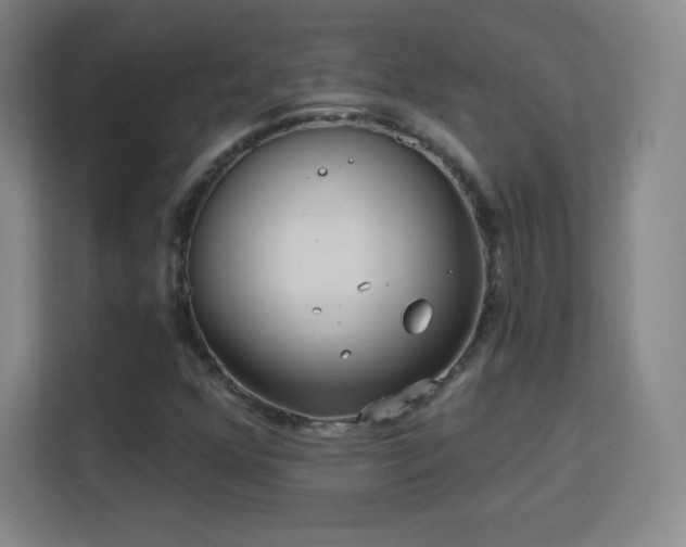 X0000113181352200909111046