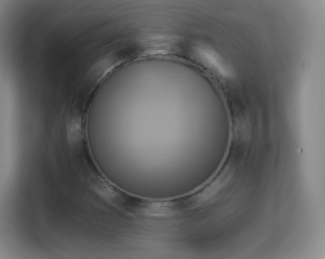 X0000113181353200909111046
