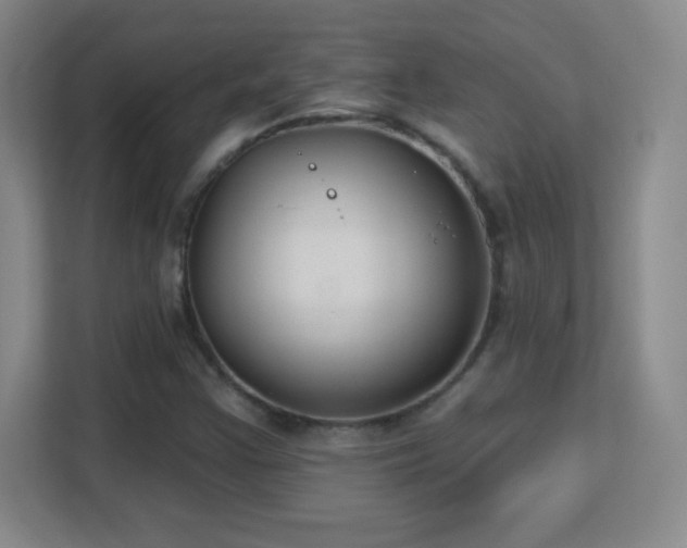 X0000113181355200909111046