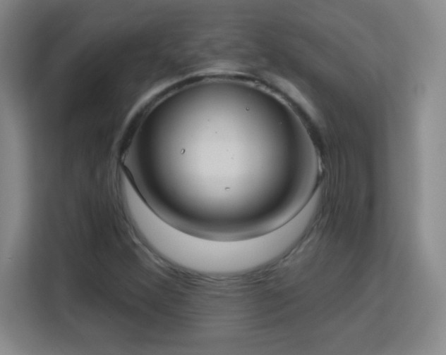 X0000113181356200909111046