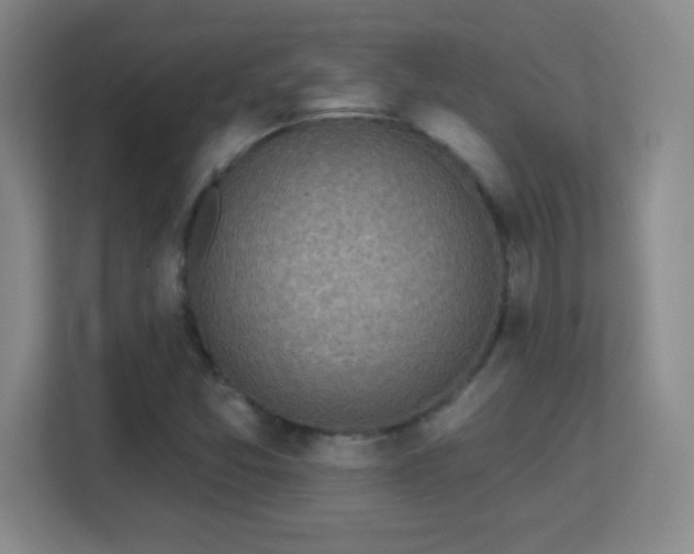 X0000113181357200909111046