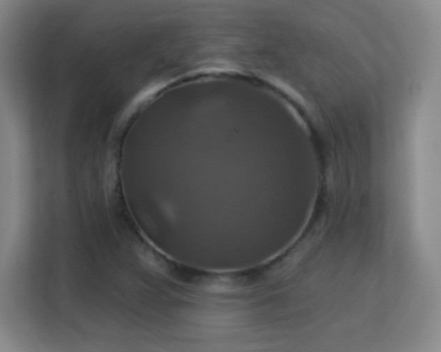 X0000113181359200909111046