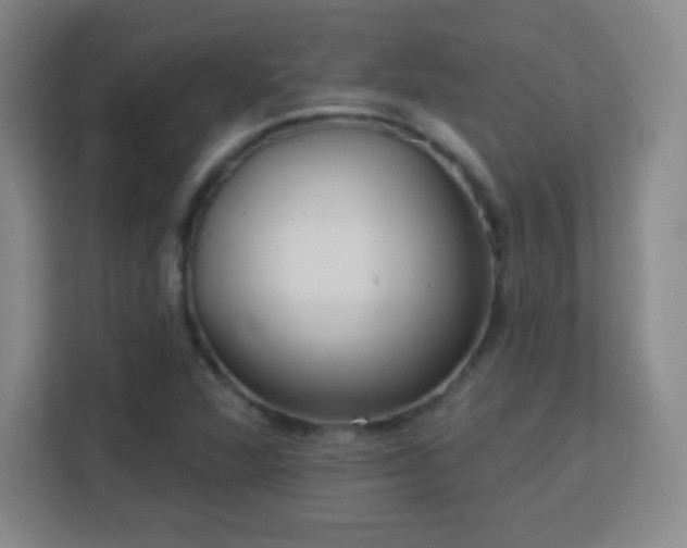 X0000113181360200909111046