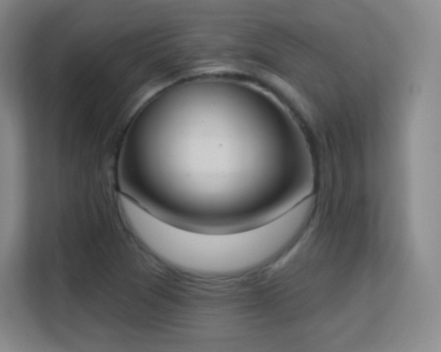 X0000113181361200909111046