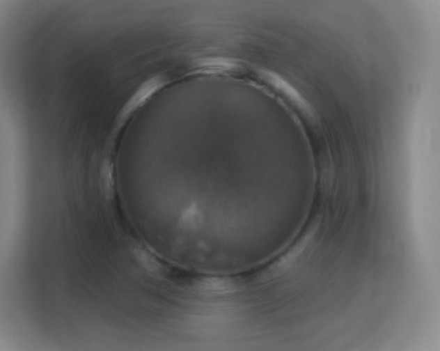 X0000113181362200909111046
