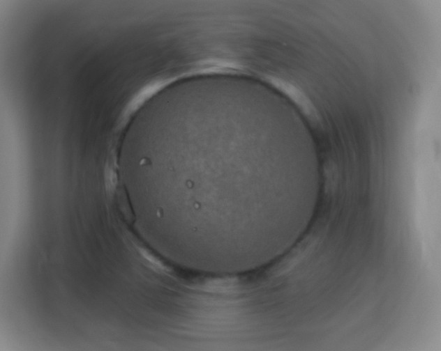 X0000113181363200909111046