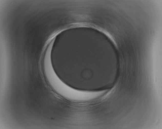X0000113181365200909111046