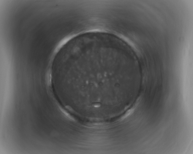X0000113181367200909111046