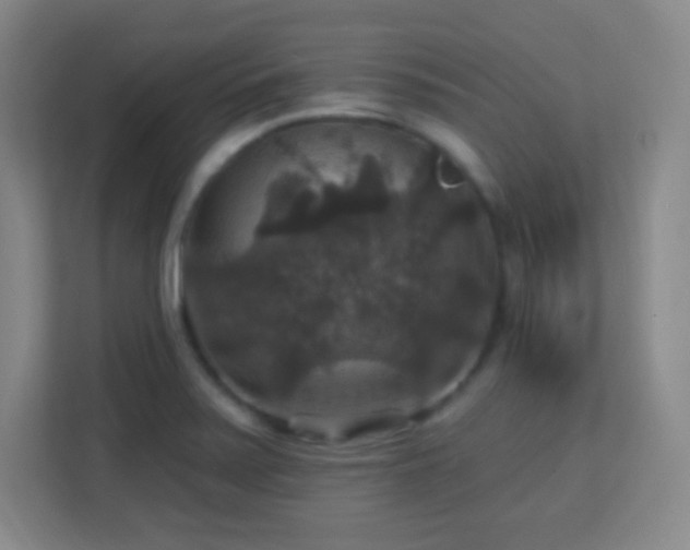 X0000113181371200909111046