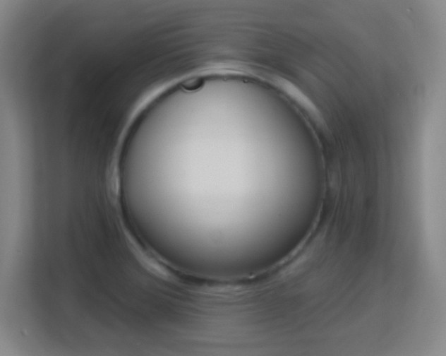 X0000113181372200909111046