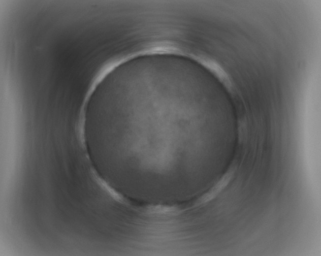 X0000113181374200909111046