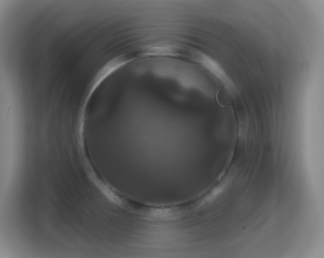 X0000113181378200909111046