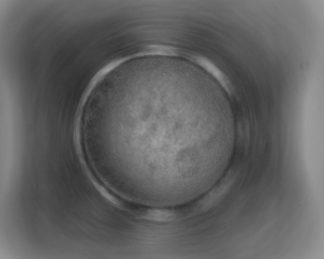 X0000113181379200909111046