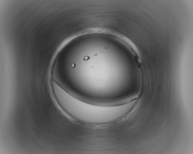 X0000113181381200909111046