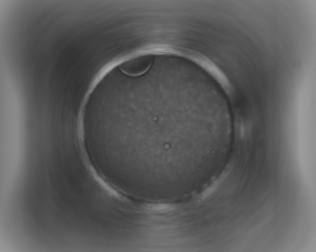 X0000113181382200909111046