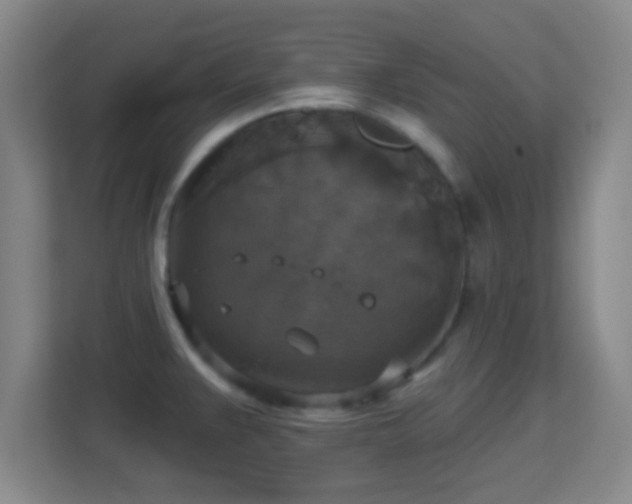 X0000113181383200909111046