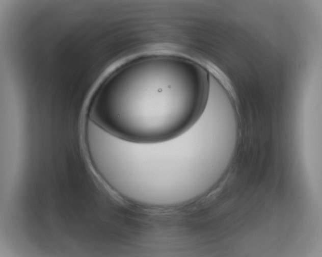 X0000113181384200909111046