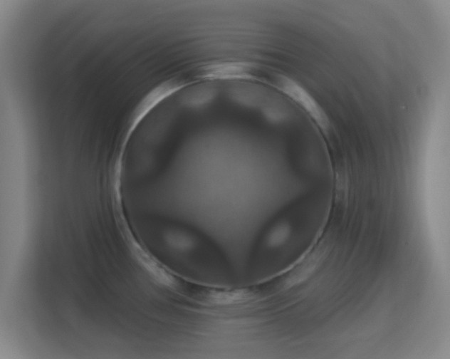 X0000113181386200909111046