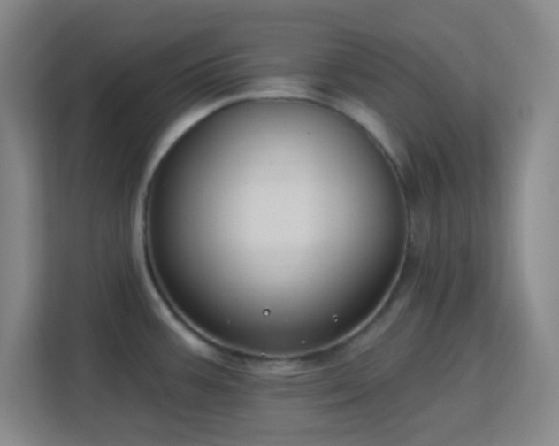 X0000113181387200909111046