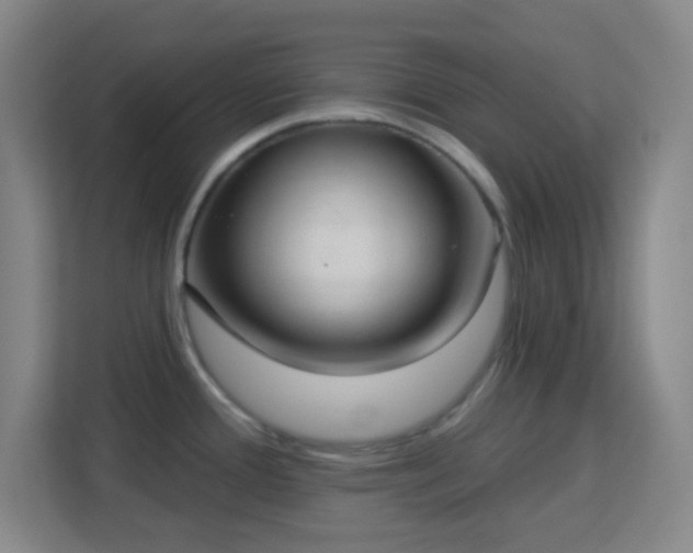 X0000113181388200909111046