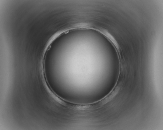 X0000113181389200909111046