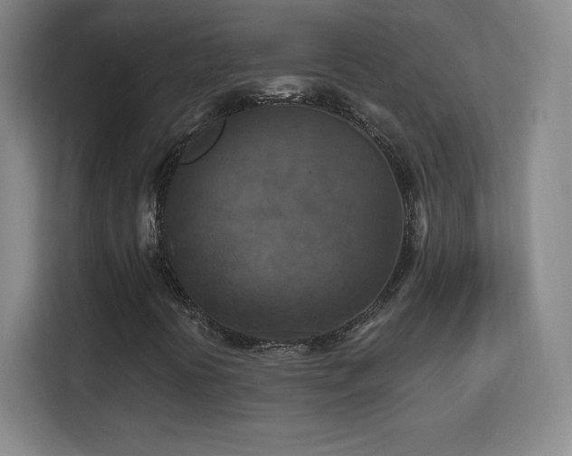 X0000113181394200909111045