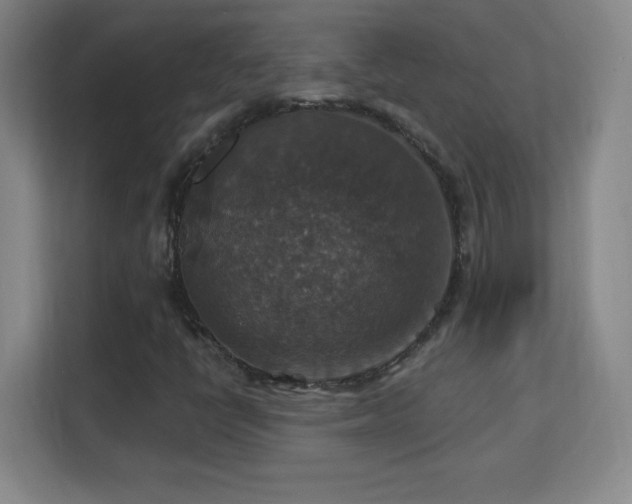 X0000113181398200909111045