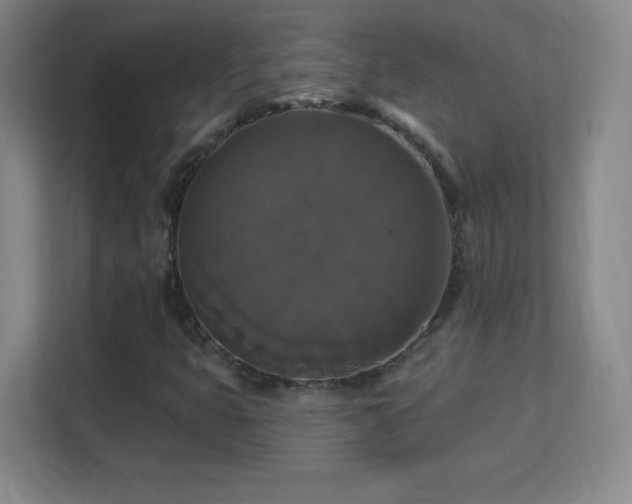 X0000113181399200909111045