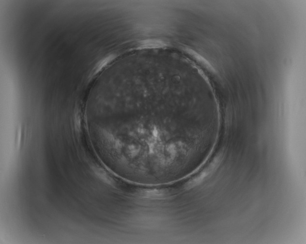 X0000113181401200909111045