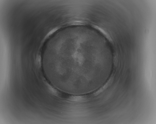 X0000113181402200909111045