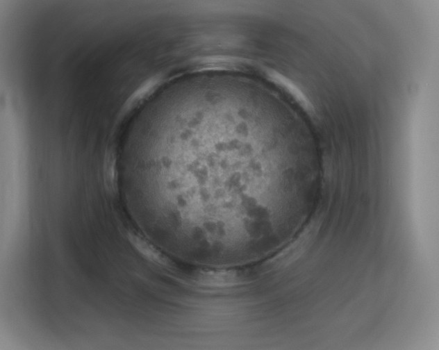 X0000113181403200909111045