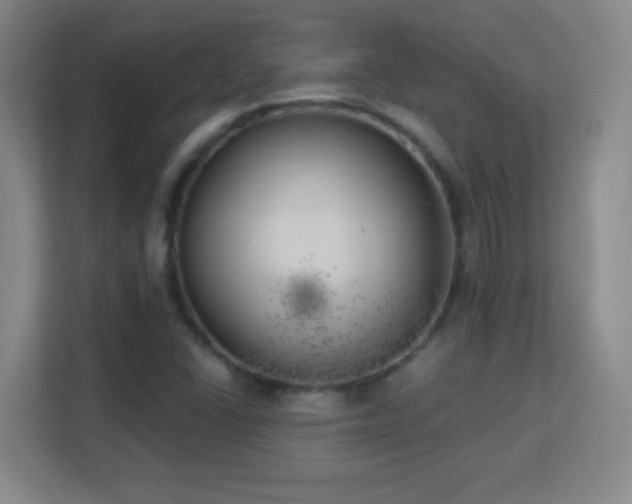 X0000113181406200909111045