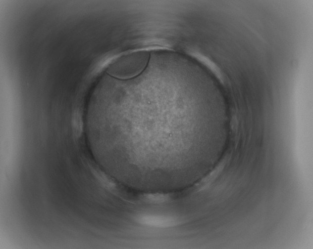 X0000113181407200909111045