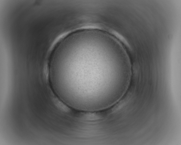 X0000113181408200909111045