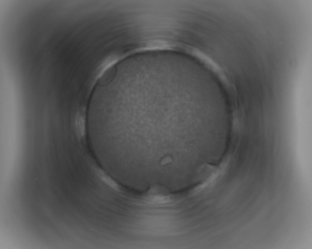 X0000113181409200909111045