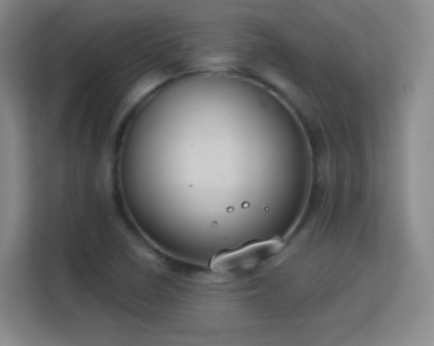 X0000113181410200909111045