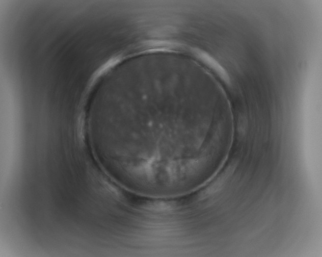 X0000113181411200909111045
