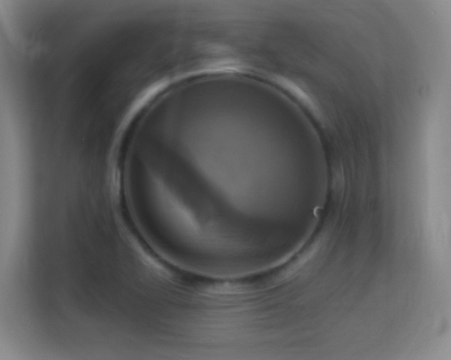X0000113181414200909111045