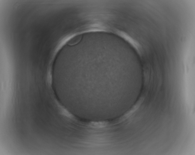 X0000113181415200909111045