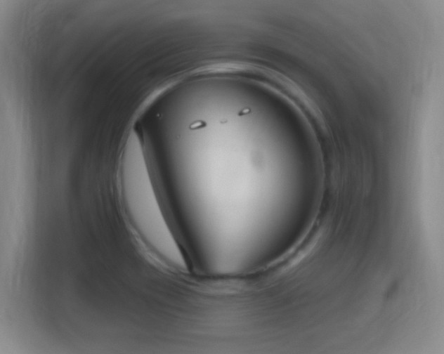 X0000113181417200909111045