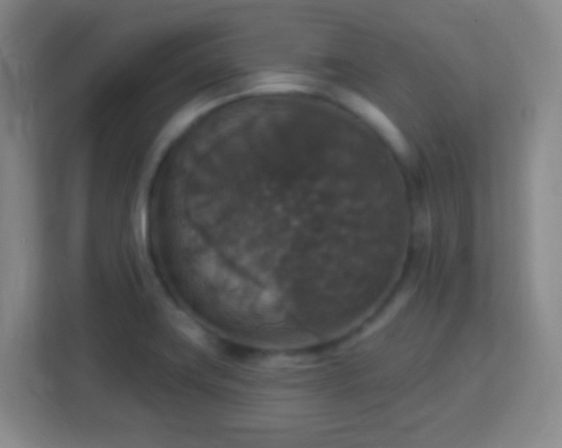 X0000113181419200909111045