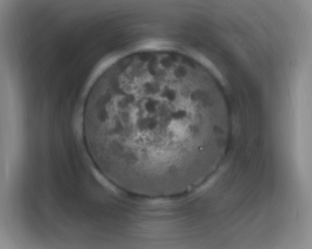 X0000113181421200909111045